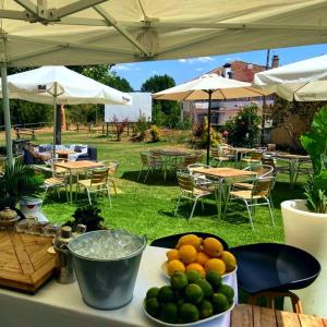 una mesa con un montón de fruta encima en CicloLodge, en Lozoya