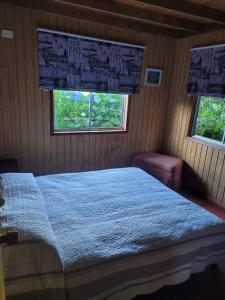 a bedroom with a bed and two windows at Cabañas rio ñilque in Ñilque