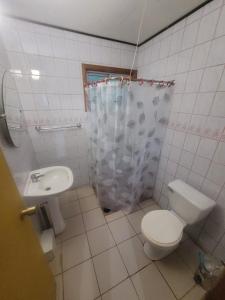 a bathroom with a toilet and a sink at Cabañas rio ñilque in Ñilque