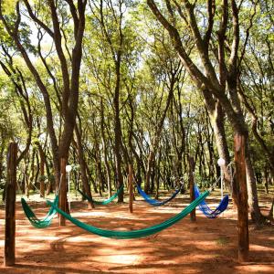 eine Hängematte inmitten eines Waldes mit Bäumen in der Unterkunft Hotel Água Das Araras in Paraguaçu Paulista