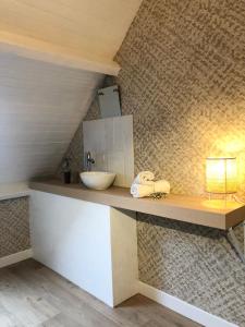 uma casa de banho com um balcão e um lavatório em Gîte Loufiosa Vannes em Vannes