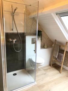 ein Bad mit einer Dusche und einem WC im Dachgeschoss in der Unterkunft Gîte Loufiosa Vannes in Vannes