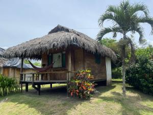 a small hut with a hammock in front of it at Kamala Surf & Backpacker Hostel in Montañita