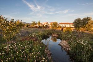 mała rzeka na polu z kwiatami w obiekcie Herdade do Amarelo Nature & Spa w mieście Vila Nova de Milfontes