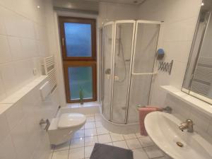 a bathroom with a shower and a toilet and a sink at Adenauer Cottage in Adenau +31 photos