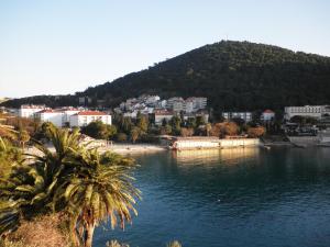 un bacino d'acqua con una città e una montagna di Apartments Karla a Dubrovnik