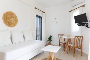 Koukounari Apartments的电视和/或娱乐中心