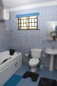 a bathroom with a toilet and a sink at The Agore Hotels and Suites Ltd in Awoyaya