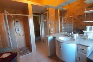 MontayralGite LOT'ivier Piscine Nature Lot的带水槽和淋浴的浴室