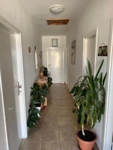 a hallway with potted plants in a room at Apartment Ivanka in Senj