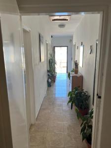 a hallway with potted plants in a building at Apartment Ivanka in Senj