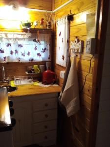 cocina con fregadero y encimera con encimera en Cabaña La Paz en Tigre