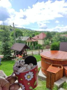 Fotografie z fotogalerie ubytování Casa Diana v destinaci Nucşoara