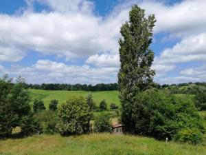 Fotografia z galérie ubytovania Le Gîte des Coloriés v destinácii Salies-de-Béarn