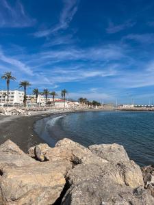 plaża z kamieniami, palmami i oceanem w obiekcie Casa Baviera Golf & Beach w mieście Caleta De Velez