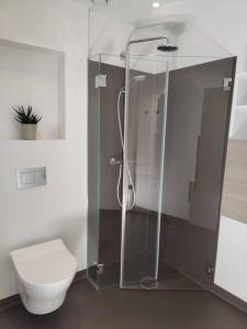 a bathroom with a toilet and a glass shower at Modern and comfortable apartment in attractive neighborhood in Stavanger