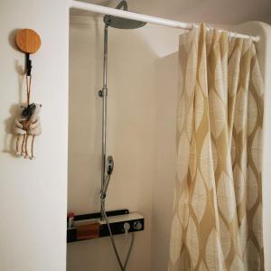a shower in a bathroom with a shower curtain at Perníková chalúpka in Bojnice