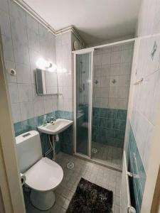 a bathroom with a toilet and a sink and a shower at Viihtyisä yksiö lähellä palveluita. (Himos 7,9 km) in Jämsä