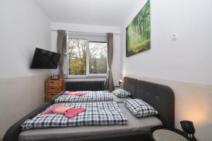 een slaapkamer met 2 bedden en een raam bij Apartmány IMLADRIS, Hotel u pralesa in Benešov nad Černou
