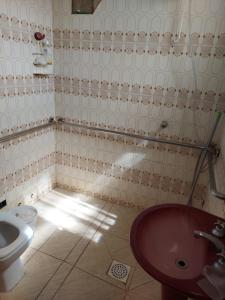 ein Bad mit einem WC und einem Waschbecken in der Unterkunft Canastra de Minas casa para temporada in São Roque de Minas