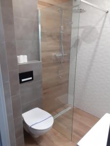 a bathroom with a toilet and a glass shower at Villa EDEN USTKA in Ustka