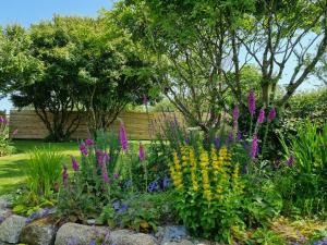 a garden with purple and yellow flowers and trees at Hallegan Annexe with Private Garden and Woodland in Camborne