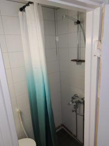 ポリにあるVarvinkatu apartmentのシャワーカーテンとトイレ付きのバスルーム