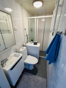 a small bathroom with a toilet and a sink at Compact apartment in Rauma in Rauma