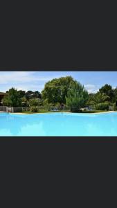 Lecci的住宿－Résidence Fiori di Cala Rossa，一个种有树木的大型蓝色游泳池