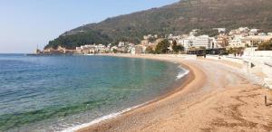 a sandy beach with a town in the background at Symphony Apartments Street View in Petrovac na Moru