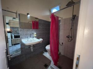 a bathroom with a sink and a toilet and a shower at Villa Leonidas KOUTSOUPIA in Kokkino Nero