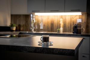 Kuchyň nebo kuchyňský kout v ubytování Müllner Appartements