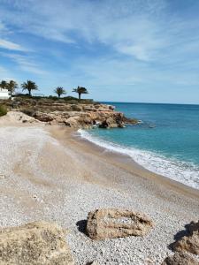 uma praia com pedras e palmeiras e o oceano em COSTA NORTE VINAROS em Vinarós