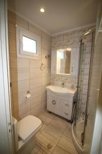 La salle de bains est pourvue de toilettes, d'un lavabo et d'une douche. dans l'établissement Niky's cottage, à Paleokastritsa