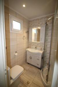 a bathroom with a toilet and a sink and a shower at Niky's cottage in Paleokastritsa