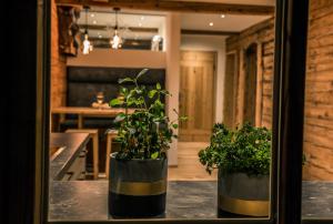 Fotografie z fotogalerie ubytování Müllner Appartements v destinaci Thiersee