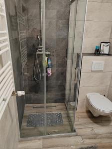 La salle de bains est pourvue d'une cabine de douche et de toilettes. dans l'établissement Krstić_lux apartman, à Subotica