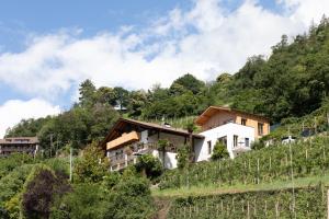 a house on the side of a hill with vines at Appartements Martinsheim in Tirolo