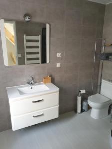 ein Badezimmer mit einem Waschbecken, einem WC und einem Spiegel in der Unterkunft Maison complete, jusqu a 6 personnes in Le Cateau