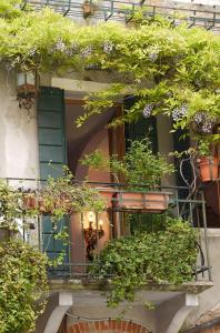 Un edificio con un mucchio di piante in vaso. di Venezia Ca' Drì Apartment a Venezia