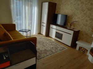 a living room with a couch and a tv and a fireplace at Pärnu Posti Apartment in Pärnu