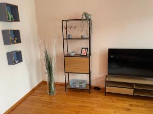 een woonkamer met een televisie en een vaas op de vloer bij Saarland Appartements Losheim-Rimlingen in Rimlingen