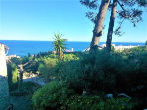 Fotografia z galérie ubytovania Maison vue mer avec parking & vélos électriques v destinácii Banyuls-sur-Mer