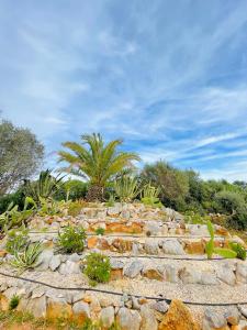 a garden with a bunch of plants and trees at Villa Serro das Vinhas in Portimão +20 photos