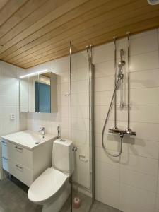 a bathroom with a toilet and a sink and a shower at Viola apartments in Rovaniemi