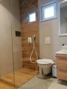 Un baño con ducha, inodoro y lavabo. en Apartments Jakov, en Makarska