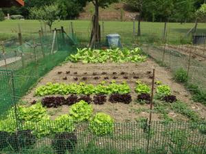 Gallery image of Leku eder in Areatza