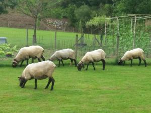 Gallery image of Leku eder in Areatza