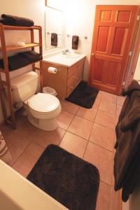 a bathroom with a toilet and a sink at Apartment Dolphin House in Haines