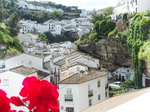 un fiore rosso di fronte a una città bianca di El Balcón de la Roca a Setenil